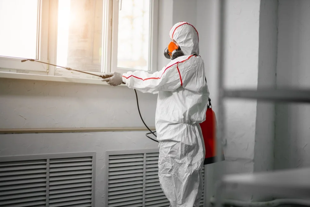 Professional mold remediation services in Colonial Beach, VA